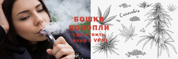 соль ск Вяземский