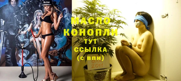 соль ск Вяземский